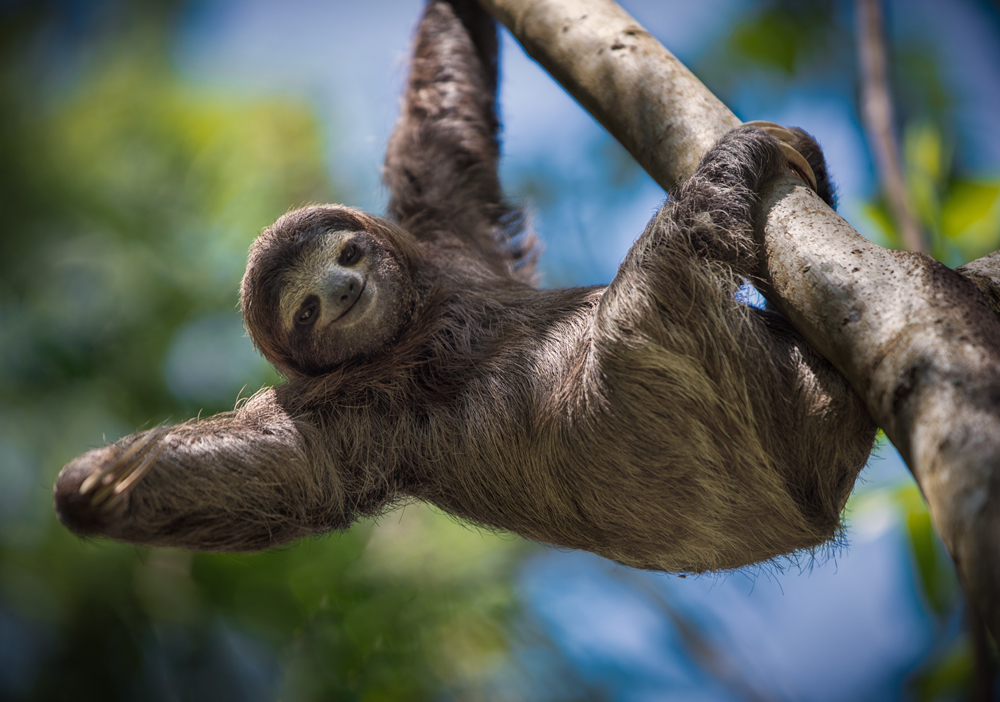 How can you Pause to slow down the busy, just a tiny bit, this week? | Amy Jackson - Nurturing Confidence 